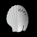 4.-SURF-CAP-BUMP-SHELL.webp